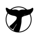 whales.net-logo